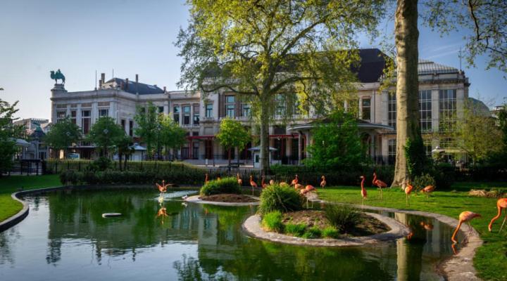 Studio In City Center With Terrace, Netflix - Wifi Antwerpen Eksteriør billede
